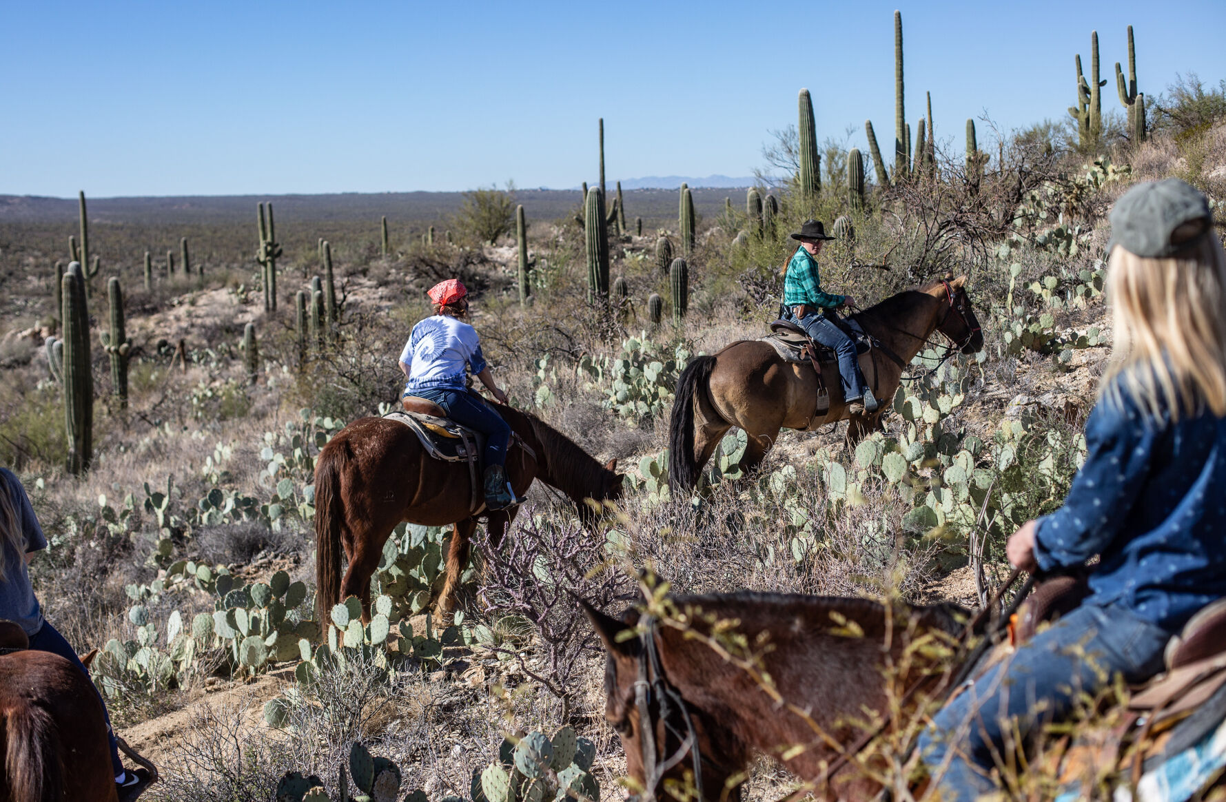 Trail ride